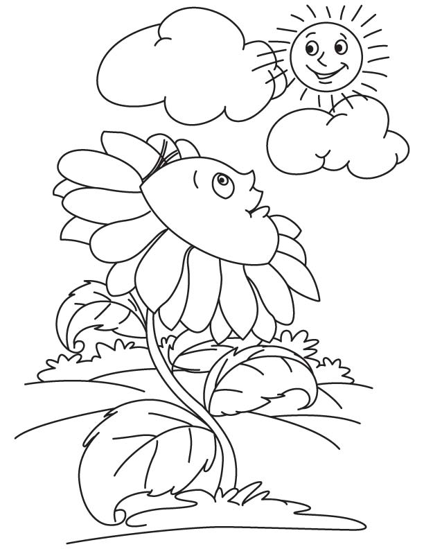 https://i0.wp.com/www.bestcoloringpages.com/userImages/cp/sunflower-looking-at-sun.jpg